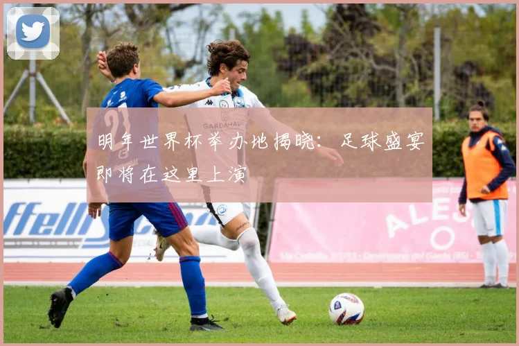 明年世界杯举办地揭晓：足球盛宴即将在这里上演